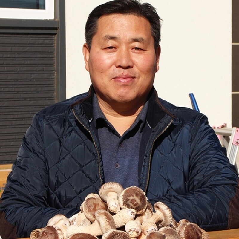 강원더몰,[특가세일]송이맛 표고버섯 1kg 중품